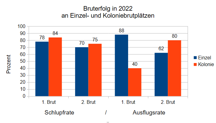 Abbildung 3: Vergleich Schlupf- und Ausflugsraten an Einzel- und Koloniebrutplätzen in 2022