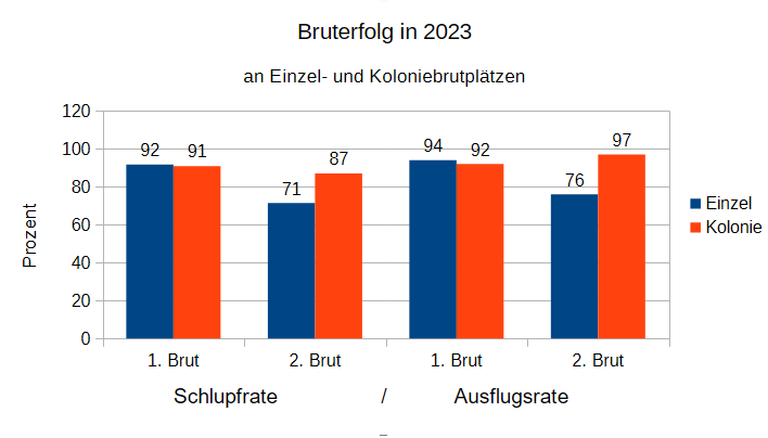 Abbildung 4: Vergleich Schlupf- und Ausflugsraten an Einzel- und Koloniebrutplätzen in 2023